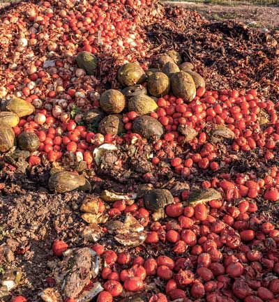 Photo de légumes jetés en pleine nature