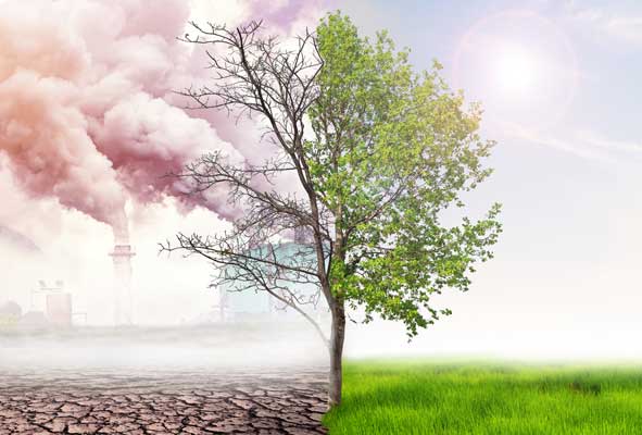 Illustration de la pollution avec un arbre entre l'herbe verte et la pollution générée par les usines