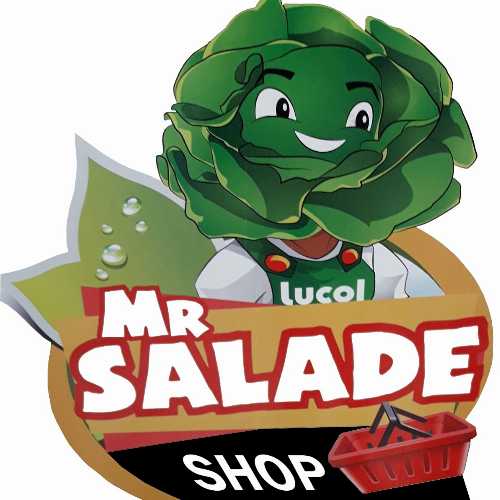 MR SALADE SHOP