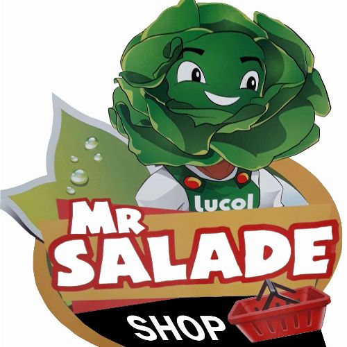 MR SALADE